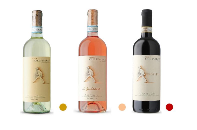 Vino Gourmet Alba Tartufi