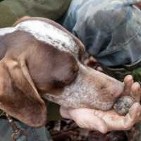 Naturalistic Tour Italy