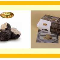 Tartufi Freschi Tartufi Di Stagione Tartufi Neri Estivi