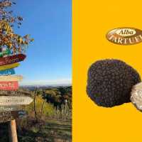 Tartufo Nero Estivo In Piemonte Alba Tartufi