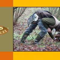 Biodiversita E Tartufi In Piemonte Alba Tartufi