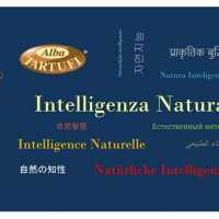 Tartufo Bianco D Alba Intelligenza Naturale Alba Tartufi