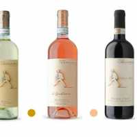 Vino Gourmet Alba Tartufi