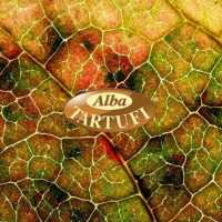 5d Alba Tartufi Truffle Tour