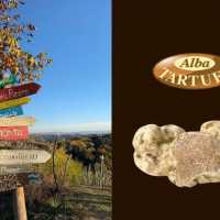 6c Tartufo Bianco D Alba Alba Tartufi Tour Del Tartufo D Alba