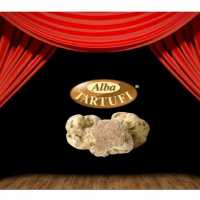 Debutto Di Stagione 2024 Tartufo Bianco D Alba Alba Tartufi