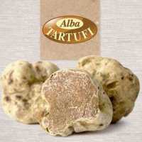 Quando Comprare Il Tartufo Bianco D Alba Alba Tartufi