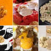 Tuber Magnatum Pico Il Tartufo Dei Magnati 1 Alba Tartufi