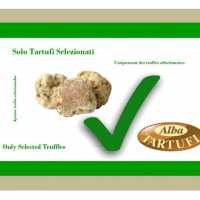 Tartufi Freschi Del Piemonte Tartufo Bianco D Alba Alba Tartufi