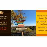 Tour Tour Del Tartufo Tour Del Tartufo D Alba