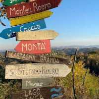 Tour Del Tartufo Alba Tartufi Tour Tartufo Alba