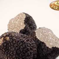 Tartufo Nero Estivo At