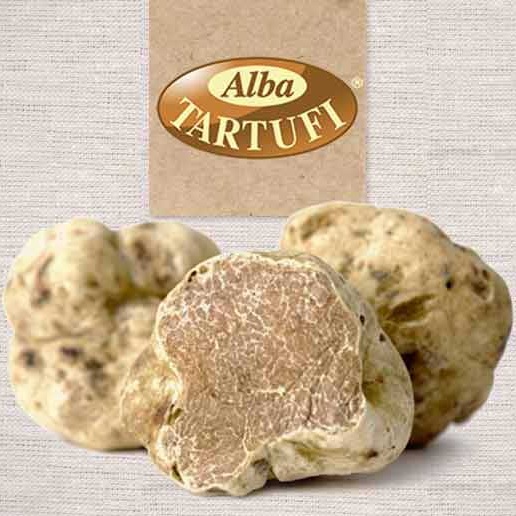 Alba Tartufi Www