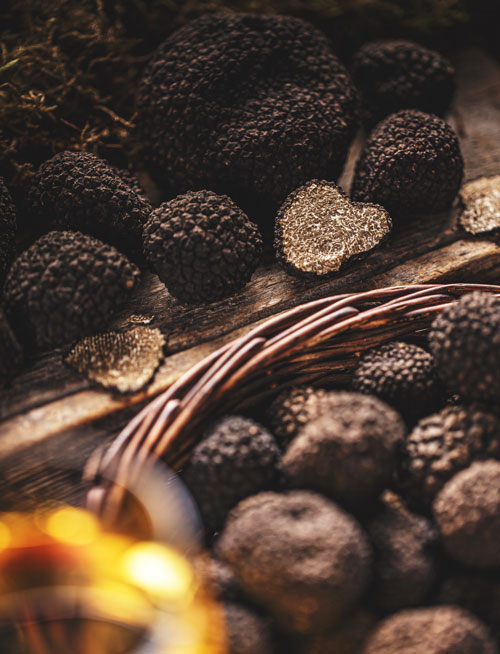 Alba Truffles - Truffle calendar