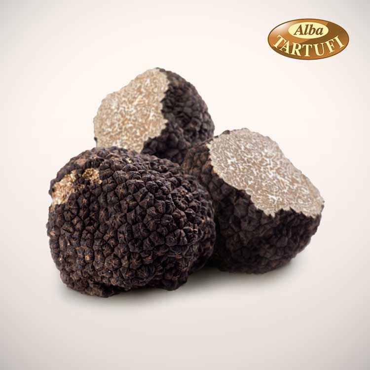 Summer black truffle