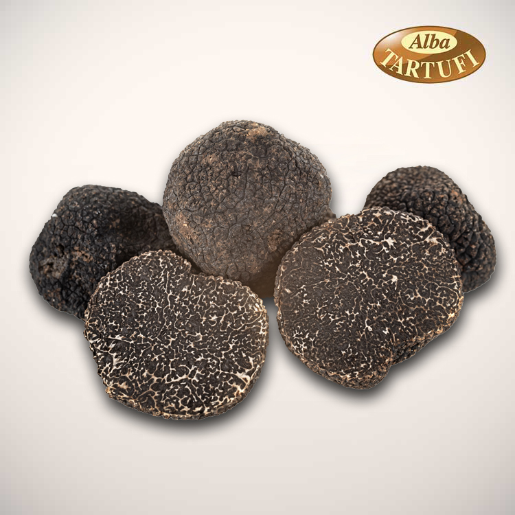 premium black truffle, first choice